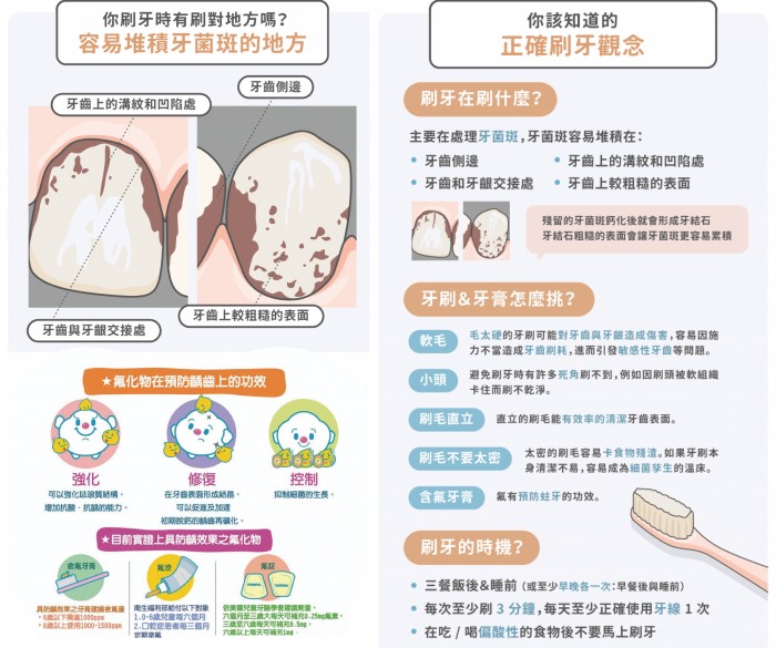 刷牙怎麼刷？牙醫破解 3 大錯誤觀念教你正確刷牙時機！